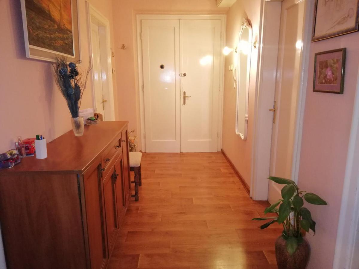 Apartment Mahonia Сплит Экстерьер фото